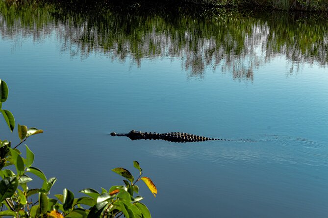 MIAMI: Everglades Airboat, Wildlife Gator Show and Photo - How the Tour Embarks from Everglades Holiday Park