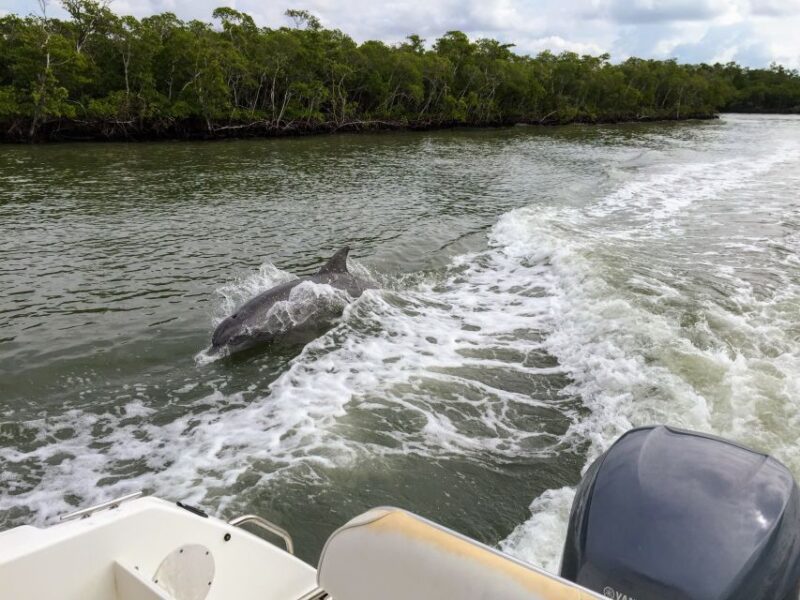 Miami: Everglades Full-Day Tour with 2 Boat Trips and Lunch - Key Points