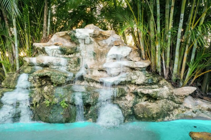 Miami: Everglades National Park Airboat Tour & Wildlife Show - Meet the Alligators and Experience the Wildlife Show