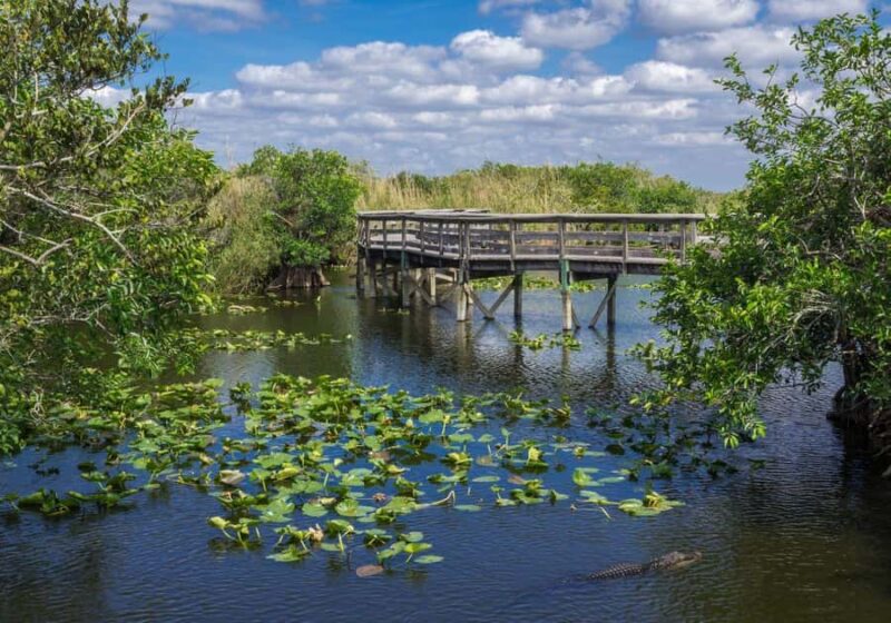 Miami: Everglades Private Tour - Exploring Shark Valley and Its Observation Tower