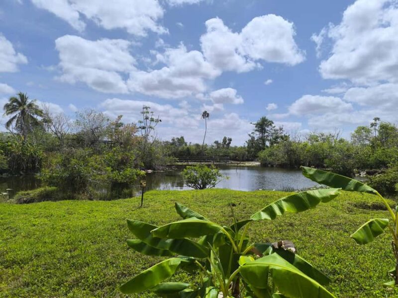 Miami: Everglades Small Group Tour in French - Guided Botanical Walk Through the Everglades Ecosystem