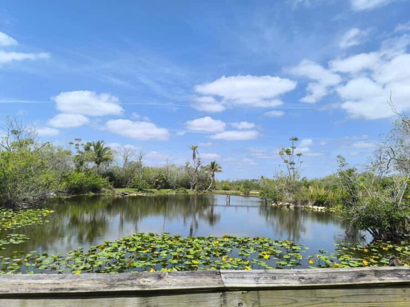 Miami: Everglades Small Group Tour in French - Tour Logistics: Pickup, Duration, and Drop-Off