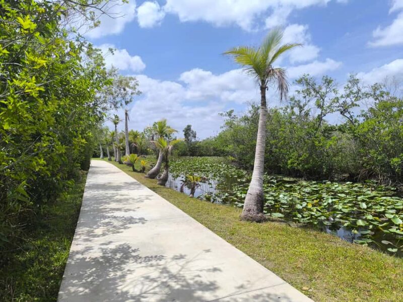 Miami: Everglades Small Group Tour in French - Flexibility and Cancellation Policies