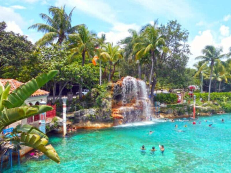 Miami: Explore Magic City in Style  2-Hour VIP Tour - Experience the Best of Miami in Just Two Hours