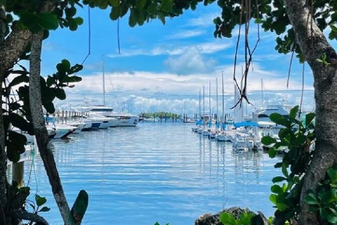 Miami Express Private Boat a 1- Hour Luxury Experience - Practical Details: Meeting Point, Group Size, and Booking Tips