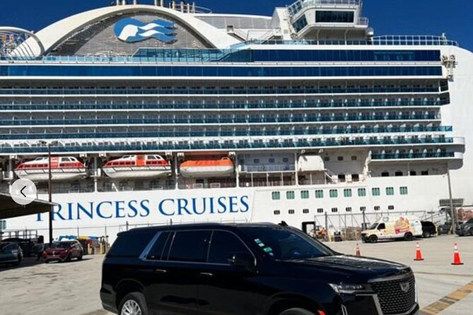 Miami & Fort Lauderdale - Port & Airport Transfer Service - Clear Meeting Points and Easy Access