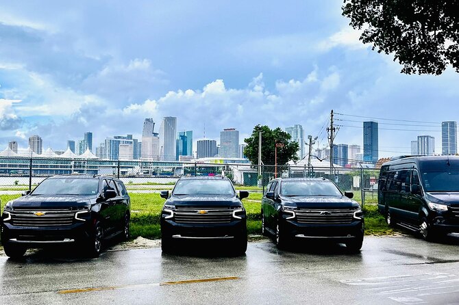 Miami & Fort Lauderdale - Port & Airport Transfer Service - Experience Highlights from Previous Reviews
