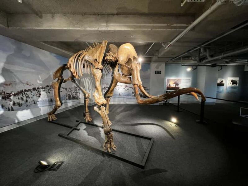 Miami: Frost Museum of Science and Planetarium Entry Ticket - Interactive Exhibits and Hands-On Learning