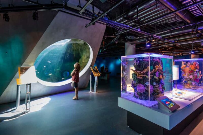 Miami: Frost Museum of Science and Planetarium Entry Ticket - Planning Your Visit: Timing and Tips