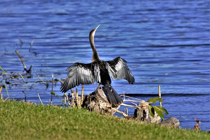 Miami Full Day Self-Guided Sightseeing Tour w/ Cruise and Everglades Airboat - Biscayne Bay Cruise: Miami Skyline and Millionaire Homes