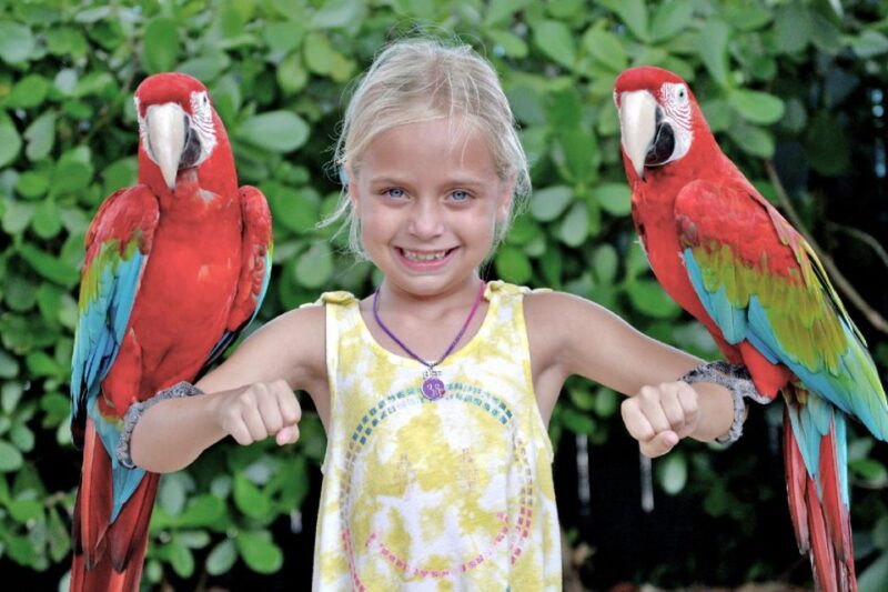 Miami: Go City All-Inclusive Pass with 30+ Attractions - Thrilling Adventures and Wildlife Encounters