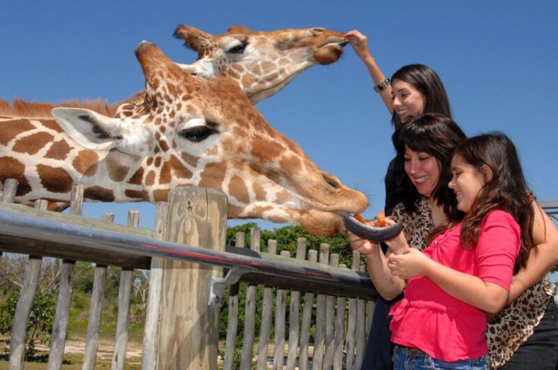 Miami: Go City Explorer Pass - Choose 2 to 5 Attractions - Wildlife and Nature Encounters