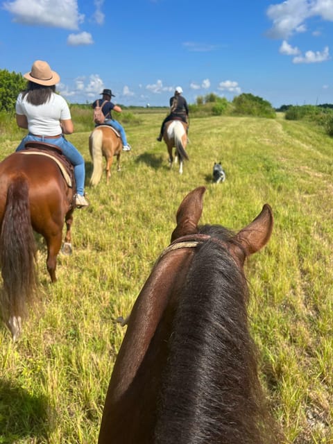 Miami: Guided Horseback Riding Tour - From the Meeting Point to the Countryside Trails