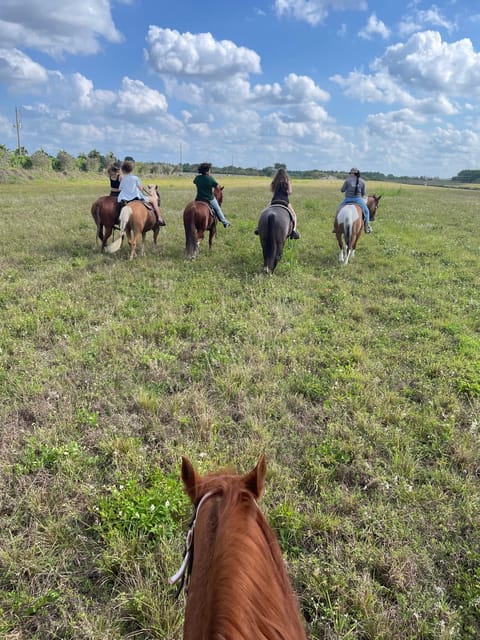 Miami: Guided Horseback Riding Tour - Physical Requirements and Accessibility