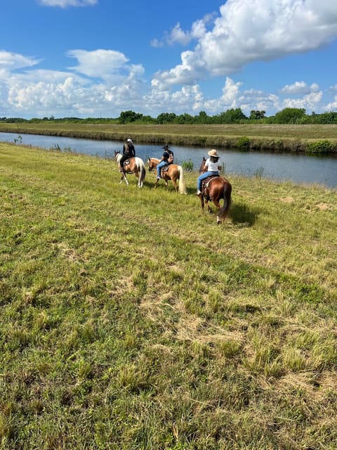 Miami: Guided Horseback Riding Tour - Comparing This Tour to Similar Experiences in Miami