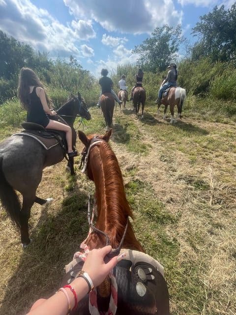 Miami: Guided Horseback Riding Tour - Why Choose This Miami Horseback Ride?