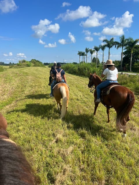 Miami: Guided Horseback Riding Tour - Who Will Love This Tour?