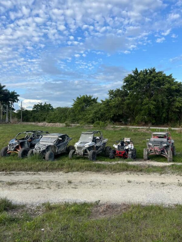 Miami: Guided Off-Road Buggy Tour with Photos & Videos - The Vehicles: Power and Safety