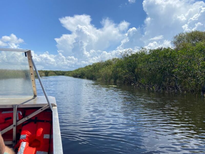 Miami: Half-Day Everglades Tour - Final Thoughts on the Miami Half-Day Everglades Tour
