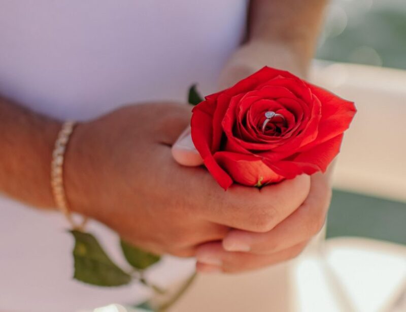 Miami: Luxury E-Boat Cruise with Wine and Charcuterie Board - Comparing This Tour to Other Miami Water Experiences