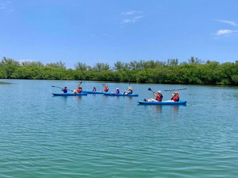 Miami: Manatee Season Paddleboard or Kayak Tour - Starting Point at Virginia Key Beach Park