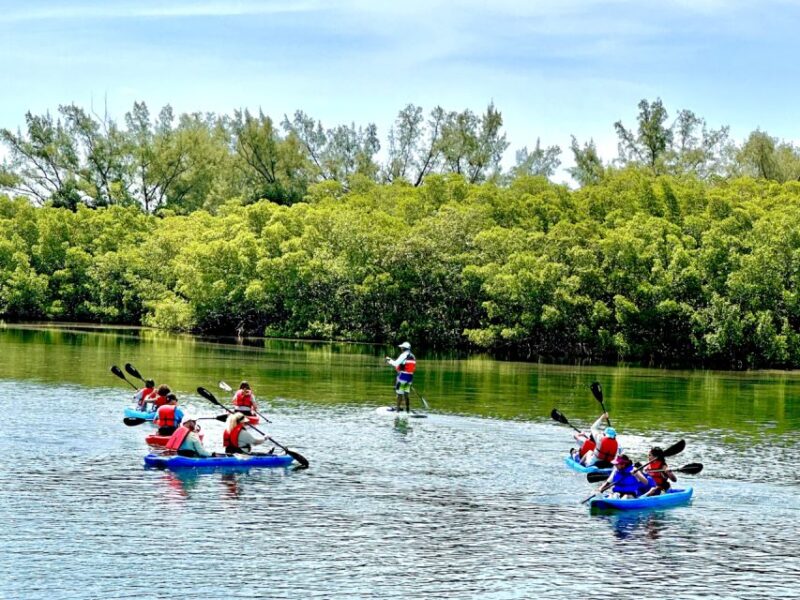 Miami: Manatee Season Paddleboard or Kayak Tour - Weather and Wind Considerations