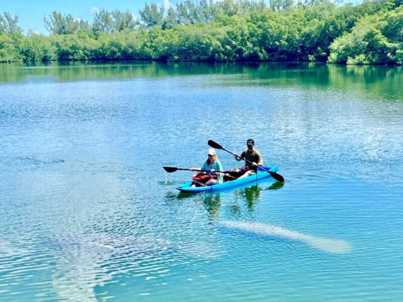 Miami: Manatee Season Paddleboard or Kayak Tour - On-site Facilities and Additional Amenities