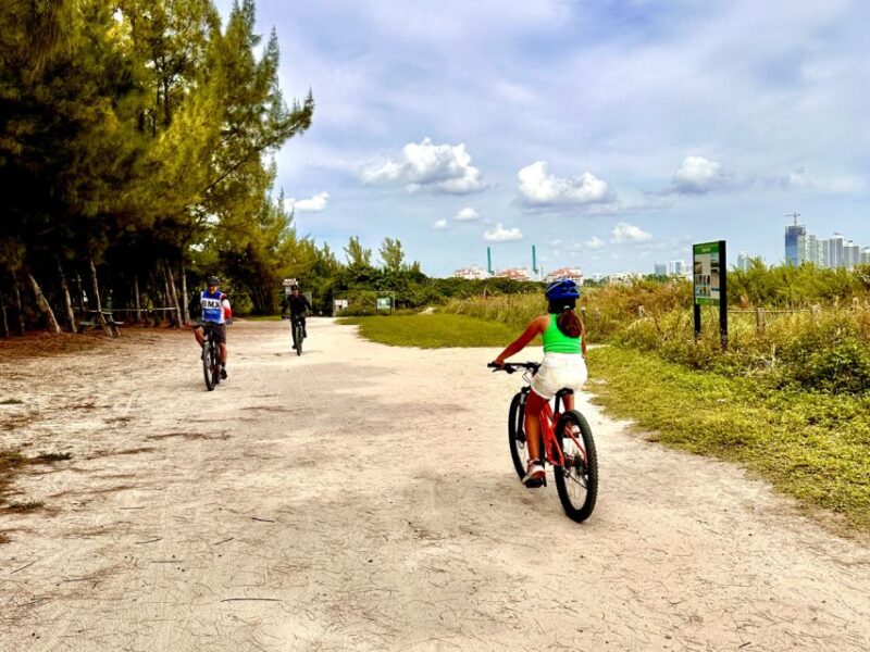 Miami: Mountain Bike Rental on Virginia Key Trails - Choosing Your Mountain Bike: Full Suspension or Hardtail