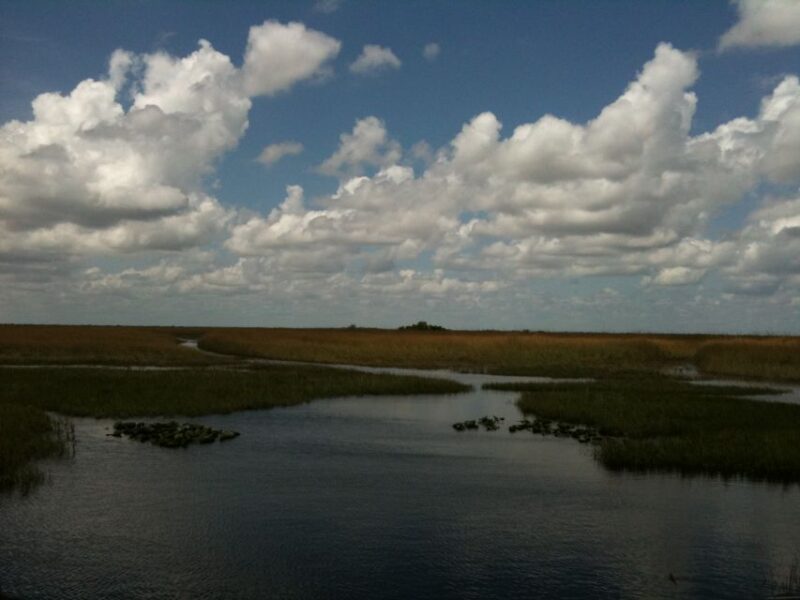 Miami: Original Everglades Airboat Tour & Interpretive area - The Experience Through the Eyes of Past Visitors