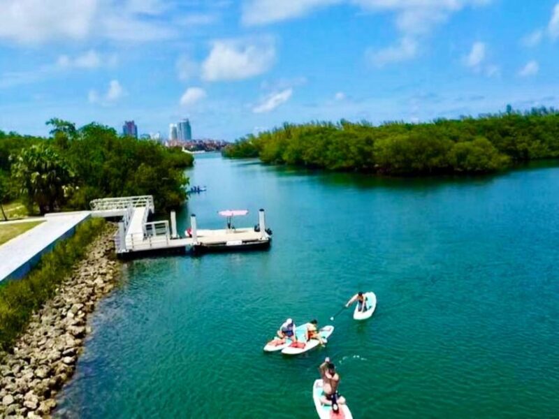 Miami: Paddle Board or Kayak Rental in Virginia Key - Starting Point at Virginia Key Beach Park