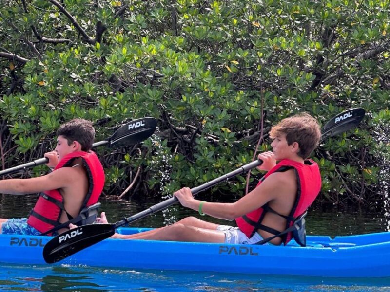 Miami: Paddle Board or Kayak Rental in Virginia Key - The Experience of Paddling in a Natural and Urban Mix