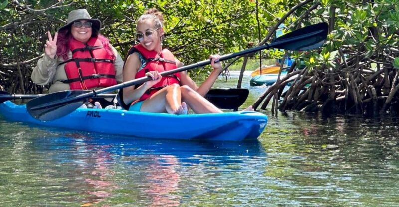 Miami: Paddle Board or Kayak Rental in Virginia Key - Reviews Highlight the Friendly and Relaxed Service