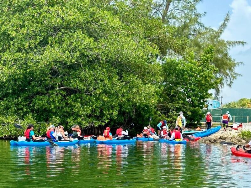 Miami: Paddle Board or Kayak Rental in Virginia Key - Comparing This Tour to Similar Miami Water Experiences
