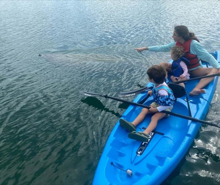 Miami: Paddle Board or Kayak Rental - PADL Beach Club - What Makes This Tour Stand Out