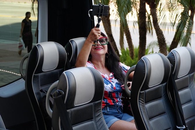 Miami Panoramic Sightseeing Tour in English, French or Spanish - Wynwood Walls and Modern Street Art