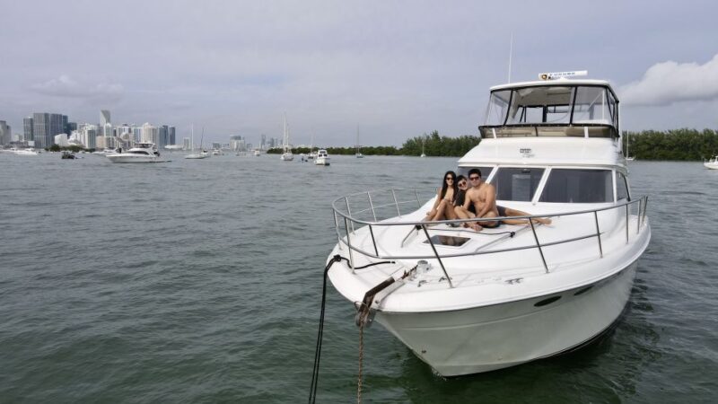 Miami: Private 52ft Luxury Yacht Rental with Captain - Spot Dolphins and Enjoy Playful Marine Life