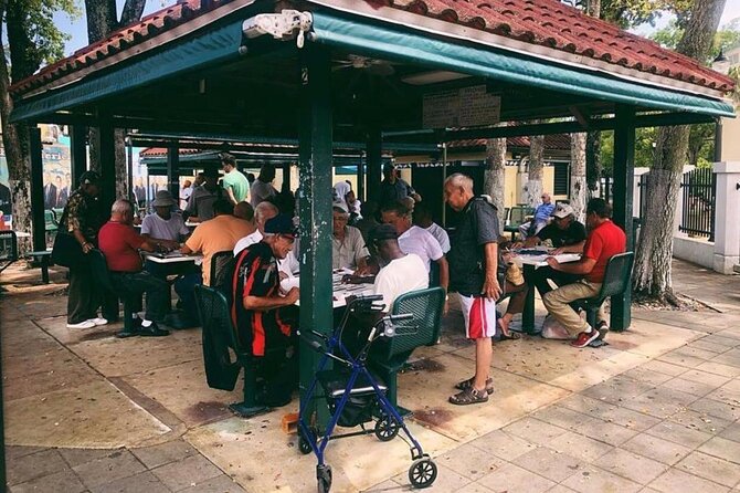 Miami Private City Tour Explore Emblematic Neighborhoods - Miami Beach: Iconic Sands and Art Deco Vibes