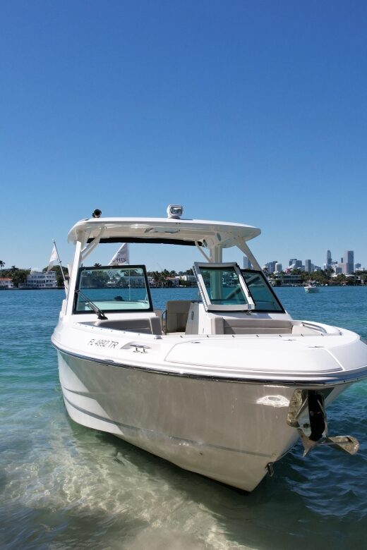 Miami: Private Star island, Miami Skyline & Miami River Tour - Cruise Along the Miami River and Waterfront Districts