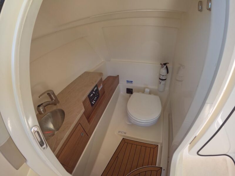 Miami: Private Star island, Miami Skyline & Miami River Tour - Who Should Consider This Tour