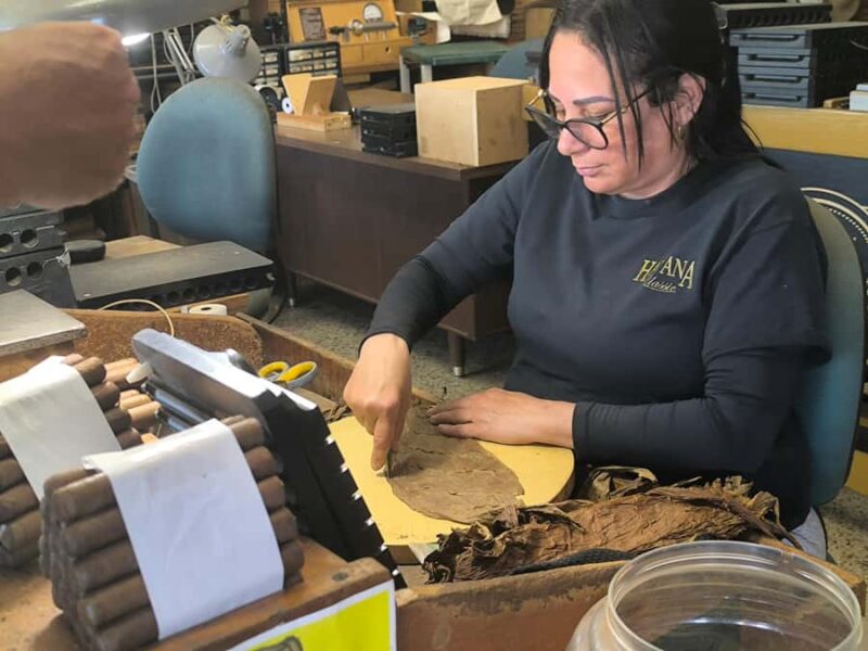 Miami: Private Tour in a Convertible Mustang (French) - The Experience Provider and Booking Flexibility