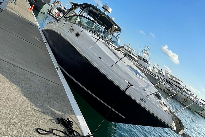 Miami Private Yacht Rental 2 to 4 hours for 12 ppl, Champagne - Safety and Comfort: All You Need to Know