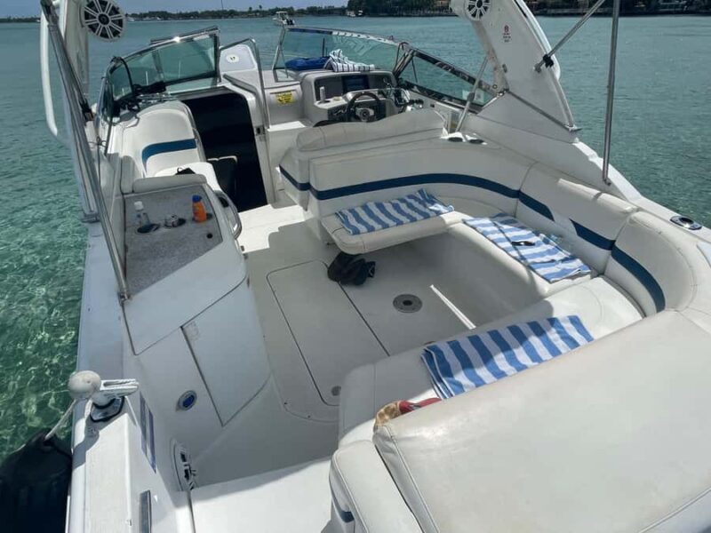 Miami: Sandbar, Billionare's & Raccoon Island Private Tour - The Boat and Guide Experience