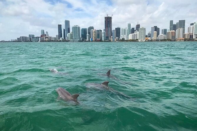Miami Small Group Boat Tour: History, Wildlife, and Stiltsville - Key Points