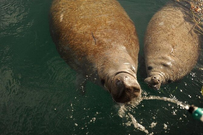 Miami Small Group Boat Tour: History, Wildlife, and Stiltsville - Miami Beach and Star Island Luxury Homes
