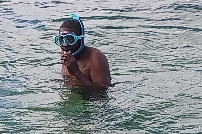 Miami: Snorkel adventure & Sandbar Trip - Who Will Appreciate This Miami Snorkel and Sandbar Trip?