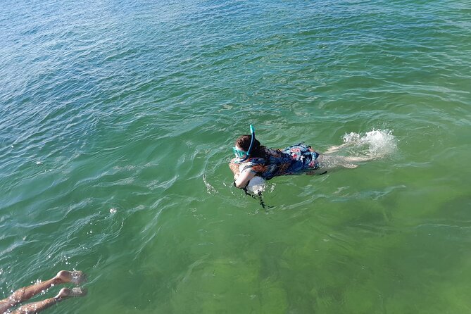 Miami: Snorkeling for Beginners Private Tour - Visiting a Secluded Private Island and Sandbar