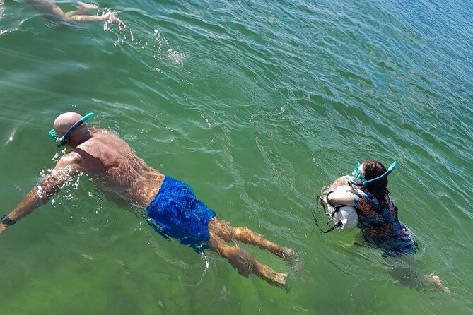 Miami: Snorkeling for Beginners Private Tour - Booking, Cancellation, and Flexibility