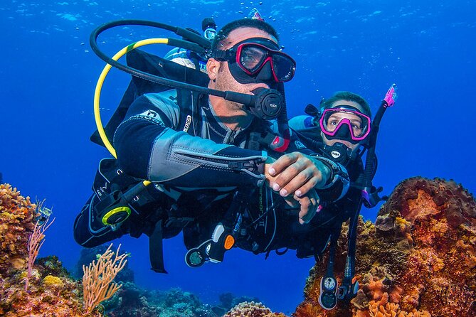 Miami Two Tank Dive Trip - The Dive Locations: Wrecks and Reefs in Miami Waters