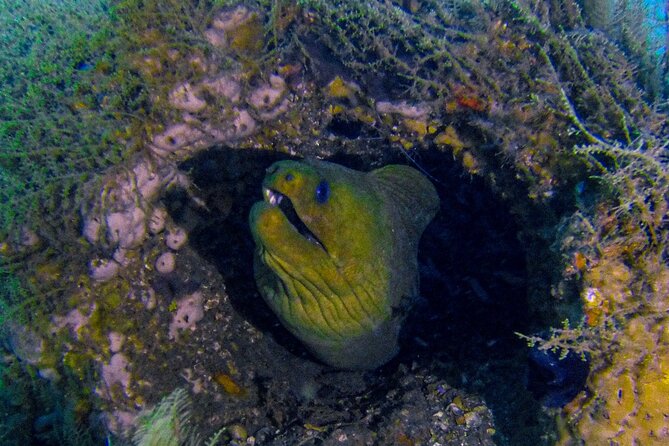 Miami Two Tank Dive Trip - Flexibility and Cancellation Policy