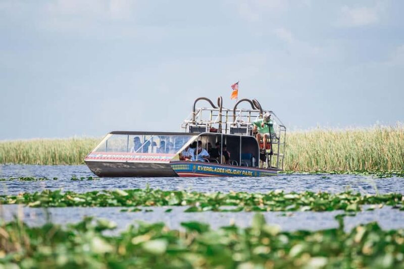 Miami: Wild Everglades Airboat Ride and Gator Encounters - Key Points